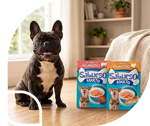Perro con producto sabueso