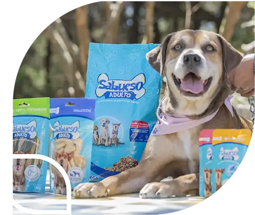 Perro con producto sabueso